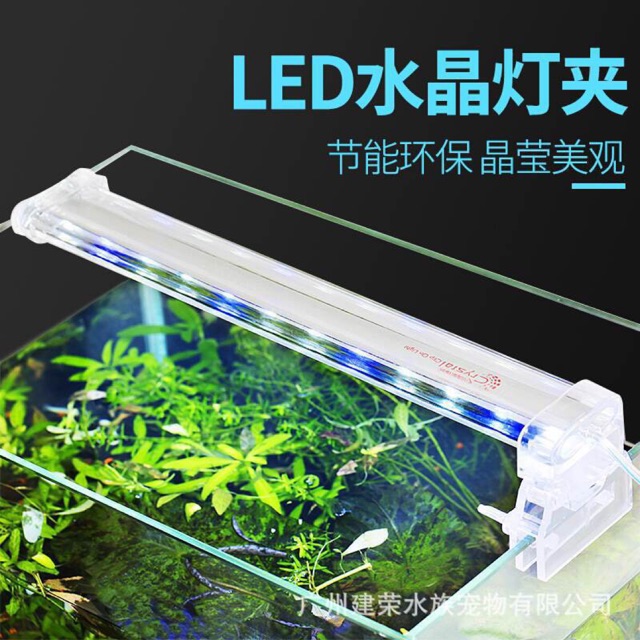 Đèn bể cá kẹp màu trắng Xanh lam XILONG LED Model D10 / D20 / D30 / D40