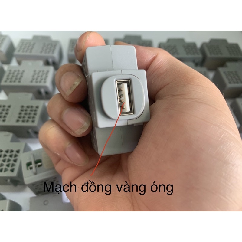 CỦ SẠC ĐIỆN THOẠI ÂM TƯỜNG Xịn Schneider Electric chính hãng giá siêu tốt lắp trên ổ cắm gia đình tiện lợi