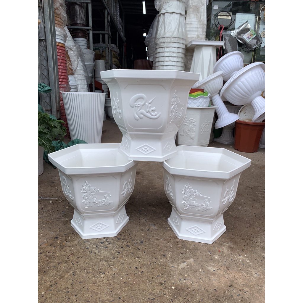 Chậu Ly Lục Giác số 3 đế cao nhựa dày cao cấp
