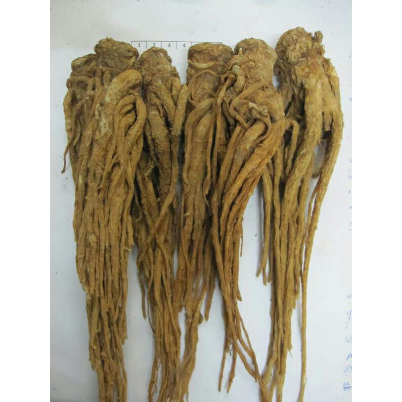 Sỉ lẻ sâm quy 500g - 1kg