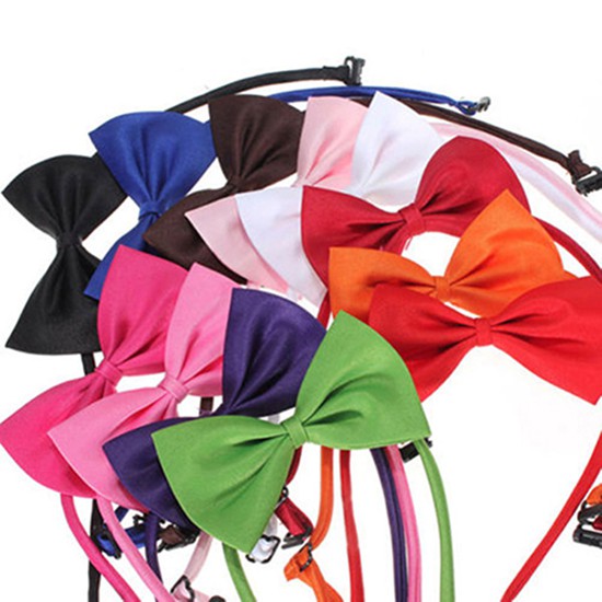 Dây nơ đeo cổ màu trơn xinh xắn cho thú cưng