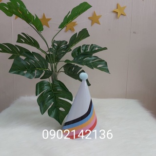 Mũ Chóp Đội Đầu