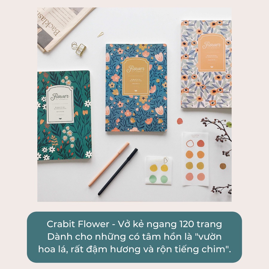 Combo Vở Crabit kẻ ngang Flower Hoa đỏ - Vở học sinh, sinh viên 120 trang khổ lớn giá rẻ - Giao hỏa tốc