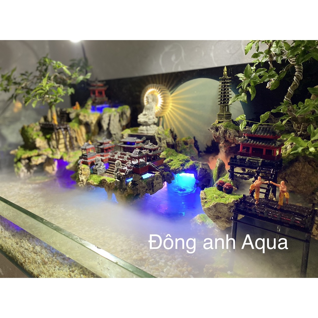 Bể bán cạn tâm hướng phật - Thiên Giới - Đông anh Aqua