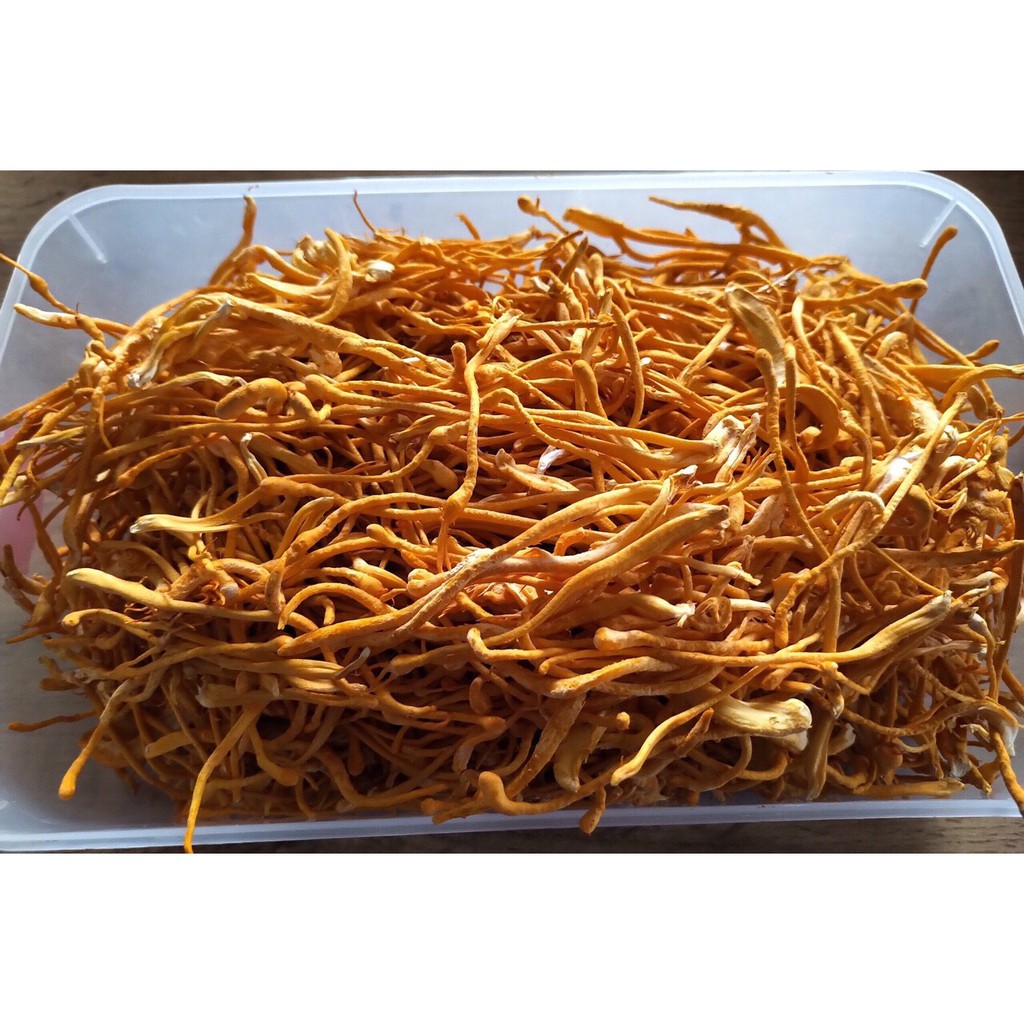 Đông Trùng Hạ Thảo Fungi Khô 10Gram Dược Chất Cao, Tăng Cường Sức khỏe, Giảm Tiểu Đường, Ăn Ngon Ngủ NgonShop KESHOUHIN | BigBuy360 - bigbuy360.vn