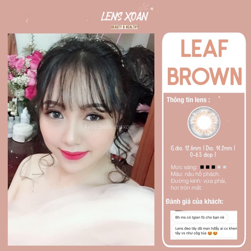 KÍNH ÁP TRÒNG LEAF BROWN: LENS NÂU RÊU ÁNH VÀNG TRONG NHẸ| B.S.COR| LENS XOẮN