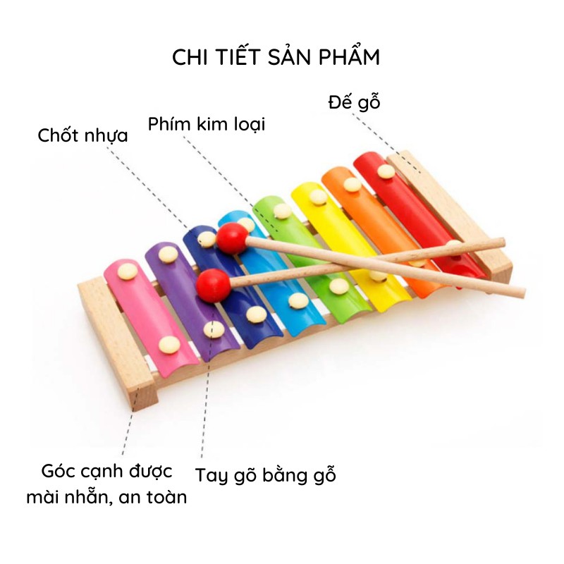 Đàn gỗ 8 thanh nhiều màu sắc cho bé phát triển khả năng cảm thụ âm nhạc, màu sắc - giáo dục trí tuệ sớm AIQ