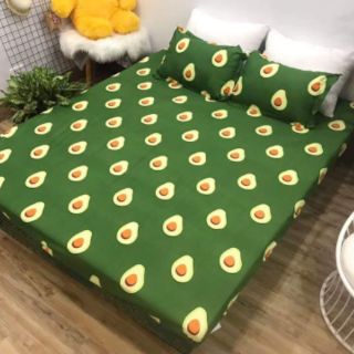 Ga gối chun cotton poly (3 món)