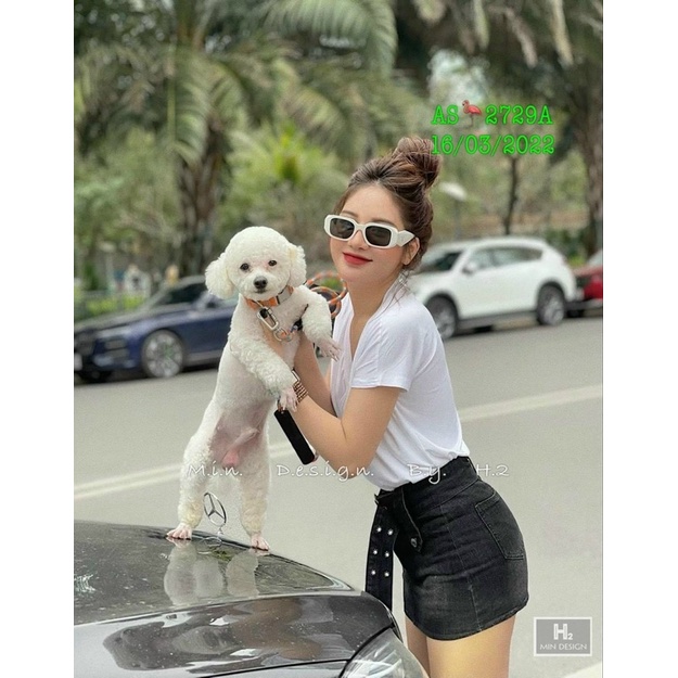 Áo Thun Cộc Tay CỔ TIM Hương Quỳnh Bigsize