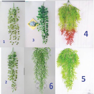 Cây rủ  cây dây leo giả trang trí treo tường