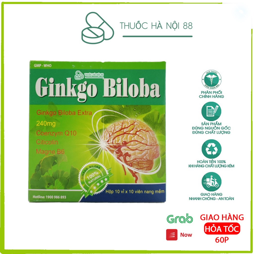 GINKGO BILOBA 240mg + Coenzym Q10+ Citicolin + Magne B6