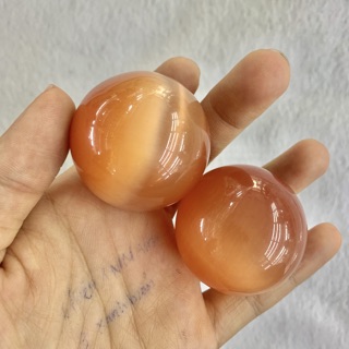 Bi lăn tay Mắt Mèo đỏ cam