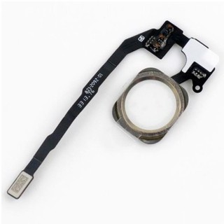 Nút HOME IPHONE 5 Trắng
