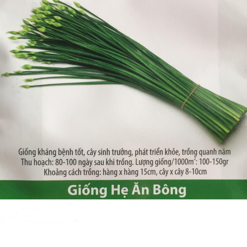 Hạt Giống Hẹ Ăn Bông Dễ trồng 1gr