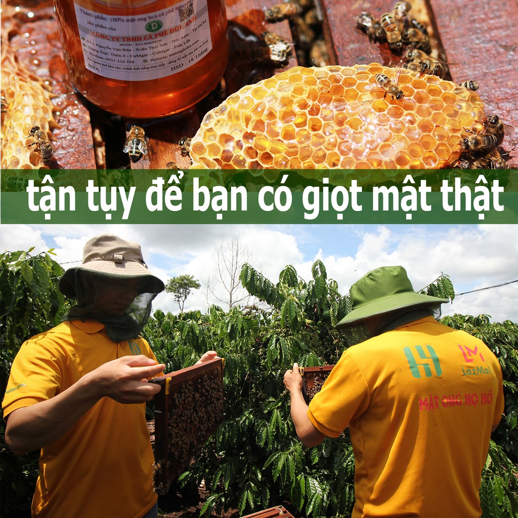 Trọn bộ 3 chai mật ong hoa cafe Hũ Thủy Tinh (100g+420g+700g) làm đẹp, tăng đề kháng thương hiệu Mật ong Họ Hồ