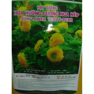 Hạt giống hoa hướng dương Nga kép - gói 1gr