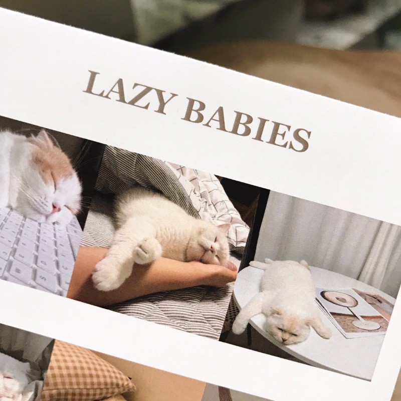 Lazy Baby Kitties Sticker Korean Style Đáng Yêu Trang Trí Sổ Tay