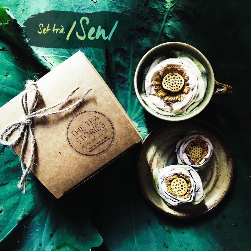 [Combo giá sỉ] Hoa sen tươi hút chân không, hoa to, nguyên màu tuyệt đẹp  - The Tea Stories