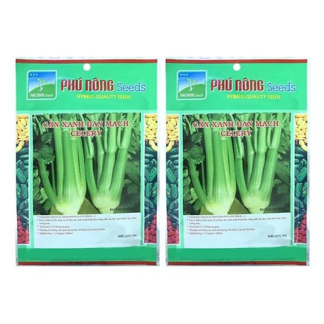 Hạt Giống Rau Cần Xanh Đan Mạch