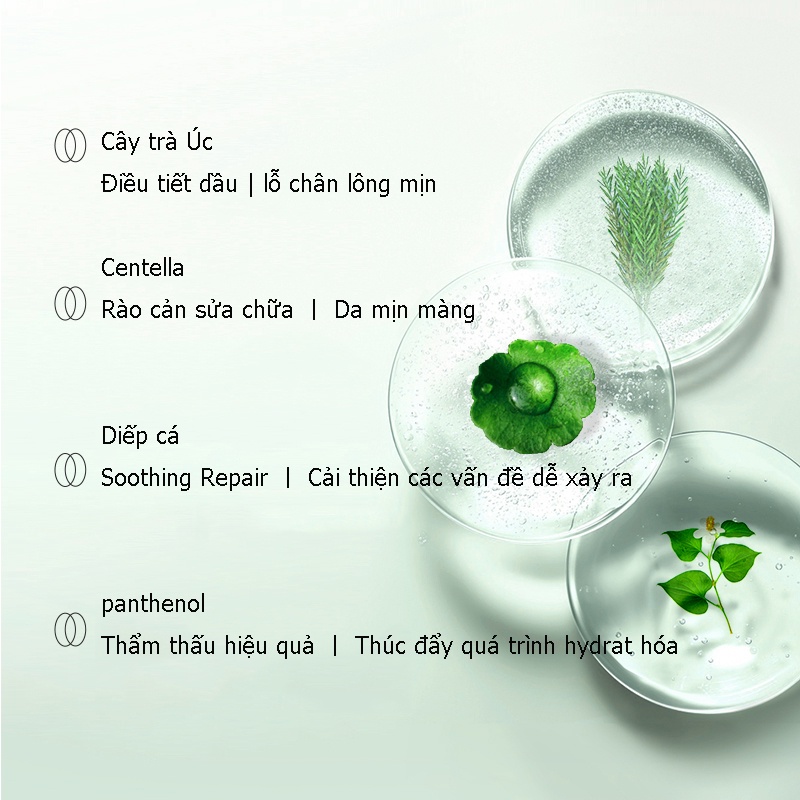 Hộp 60 Miếng Dán Cotton acid EIIO Salicylic acid Hỗ trợ giảm mụn Đầu Đen Thu Nhỏ Lỗ Chân Lông