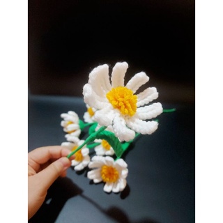 Cành hoa cúc trắng bằng len