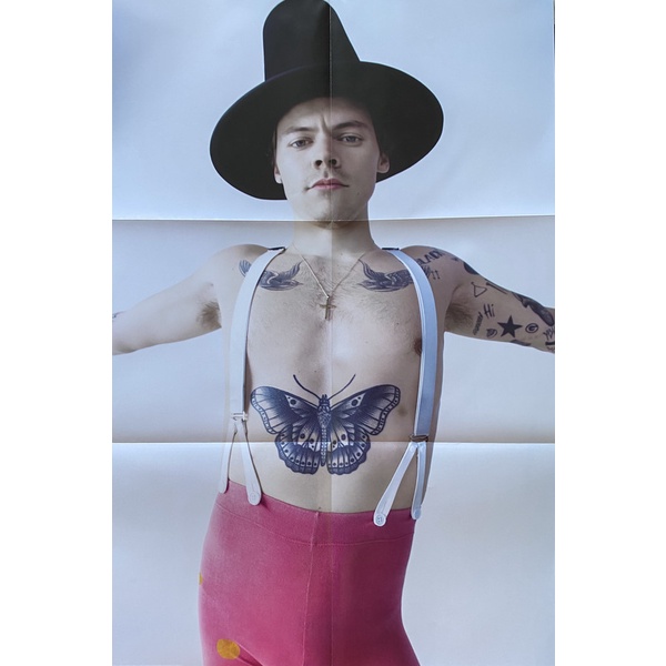 Harry Styles – Fine Line vinyl 2LP đĩa than