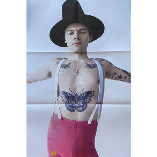 Harry Styles – Fine Line vinyl 2LP đĩa than