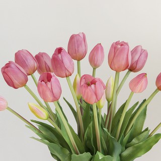 BÓ 5 CÀNH HOA TULIP CAO CẤP