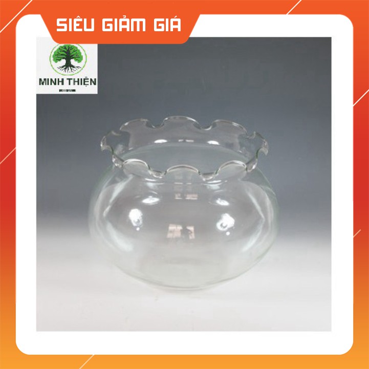 (Gía Sốc) Bể cá, chậu thủy tinh cắm hoa 7cm x 10cm - B4