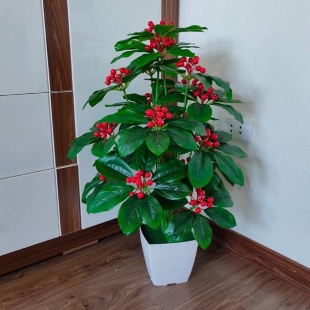Cây sơri cao cấp 80cm kèm chậu siêu đẹp - cây giả