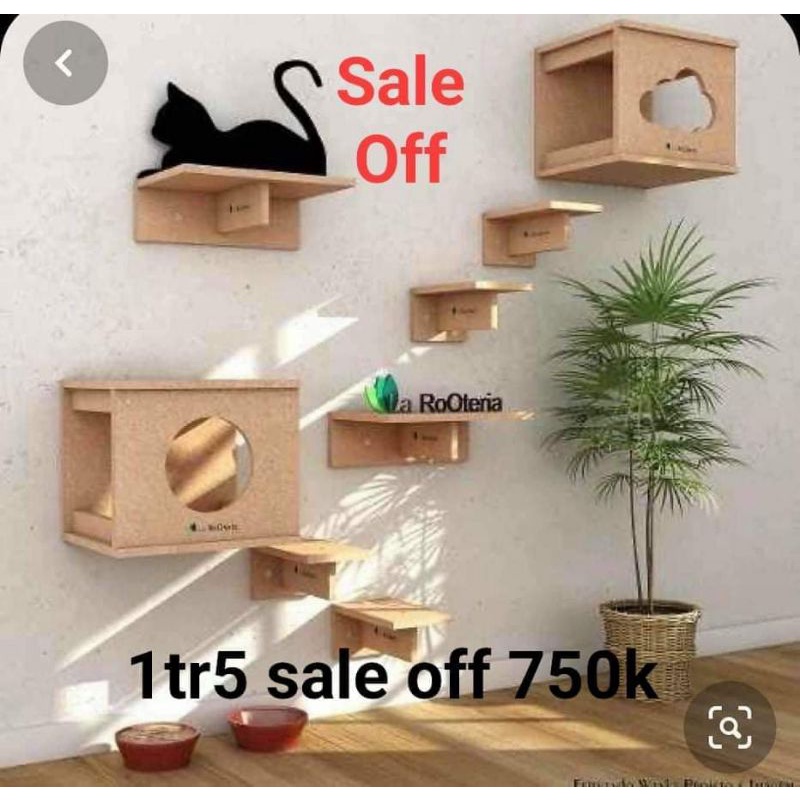 Cattre tường cho mèo mẫu mới nhất