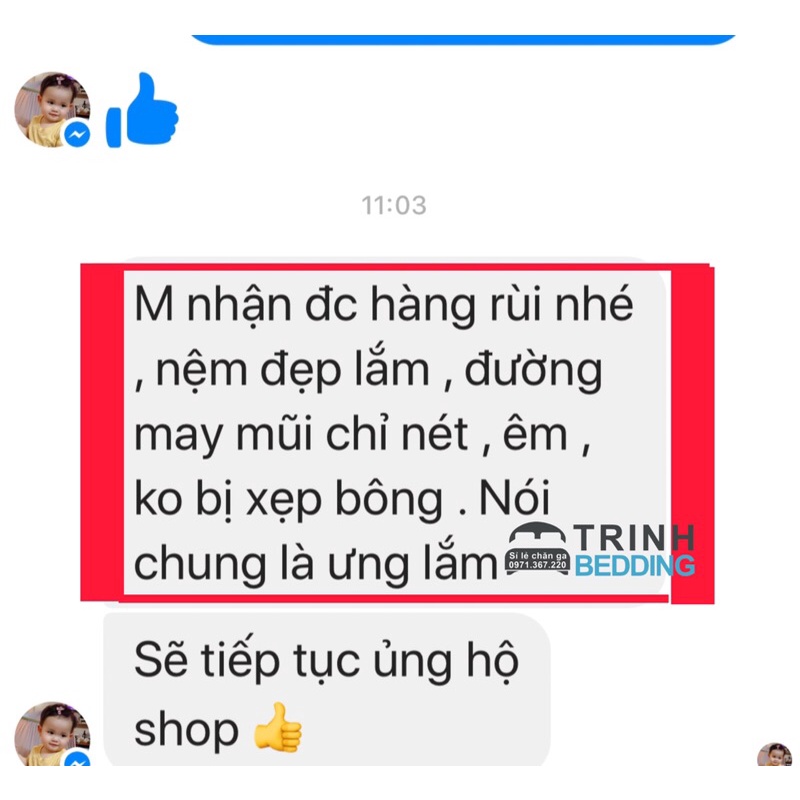 Topper Nệm Lông Vũ Màu Xám/ Xanh Lót Nệm Trải Sàn