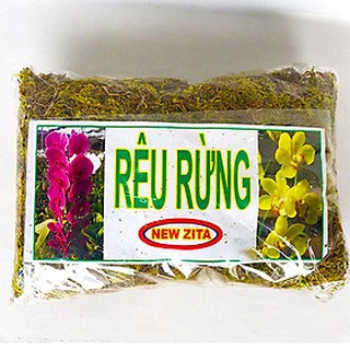 RÊU RỪNG TRỒNG LAN