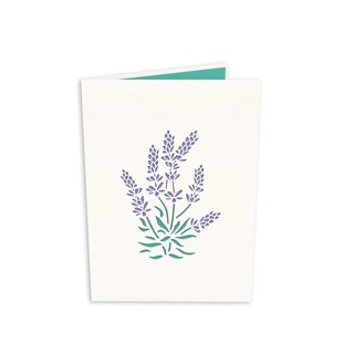 Thiệp 3D pop up Hoa Lavender