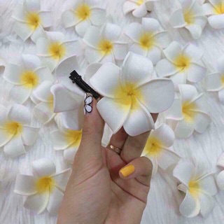 HOA SỨ CÀI TÓC XINH LUNG LINH