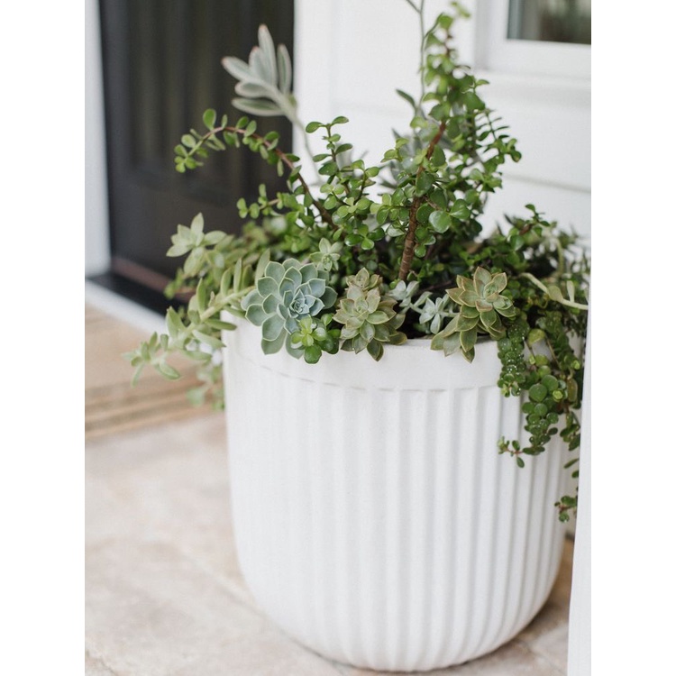 Chậu trồng cây xi măng DT034