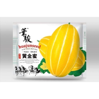 Hạt giống dưa lê Hàn Quốc