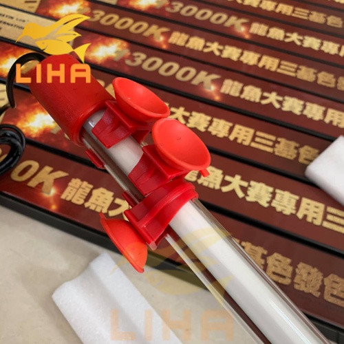 Đèn MAYIN Tanning Cho Cá Rồng Huyết Long Bối Vàng Bóng T5 13000K, 6700K, 2700K