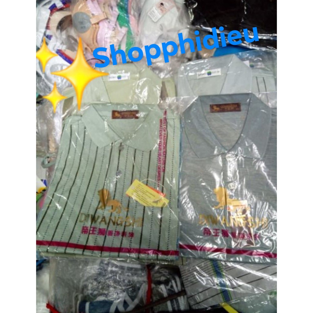 Combo 2 Áo Thun coton lụa Trung Niên