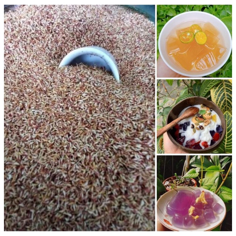 100g hạt mác púp. Date luôn mới. SHIP NHANH HCM.