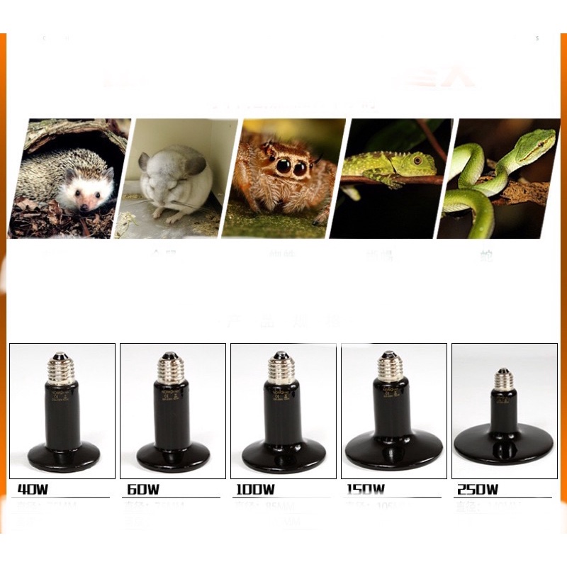 Đèn sưới sứ hồng ngoại xa Nomoy Pet dùng cho thú cưng bò sát