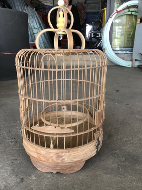 Lồng khuyên lùn nan tre xử lý
