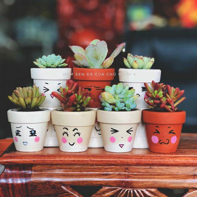 Chậu đất nung trắng nâu trồng cây 7-9-11cm có vẽ hình theo yêu cầu