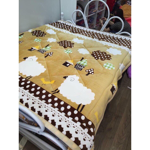 [ĐÓN TẾT] CHĂN LÔNG CỪU VIỆT NAM KHÔNG BỊ LO BÍ (Fanpage: Chăn Lông Cừu Việt Nam)