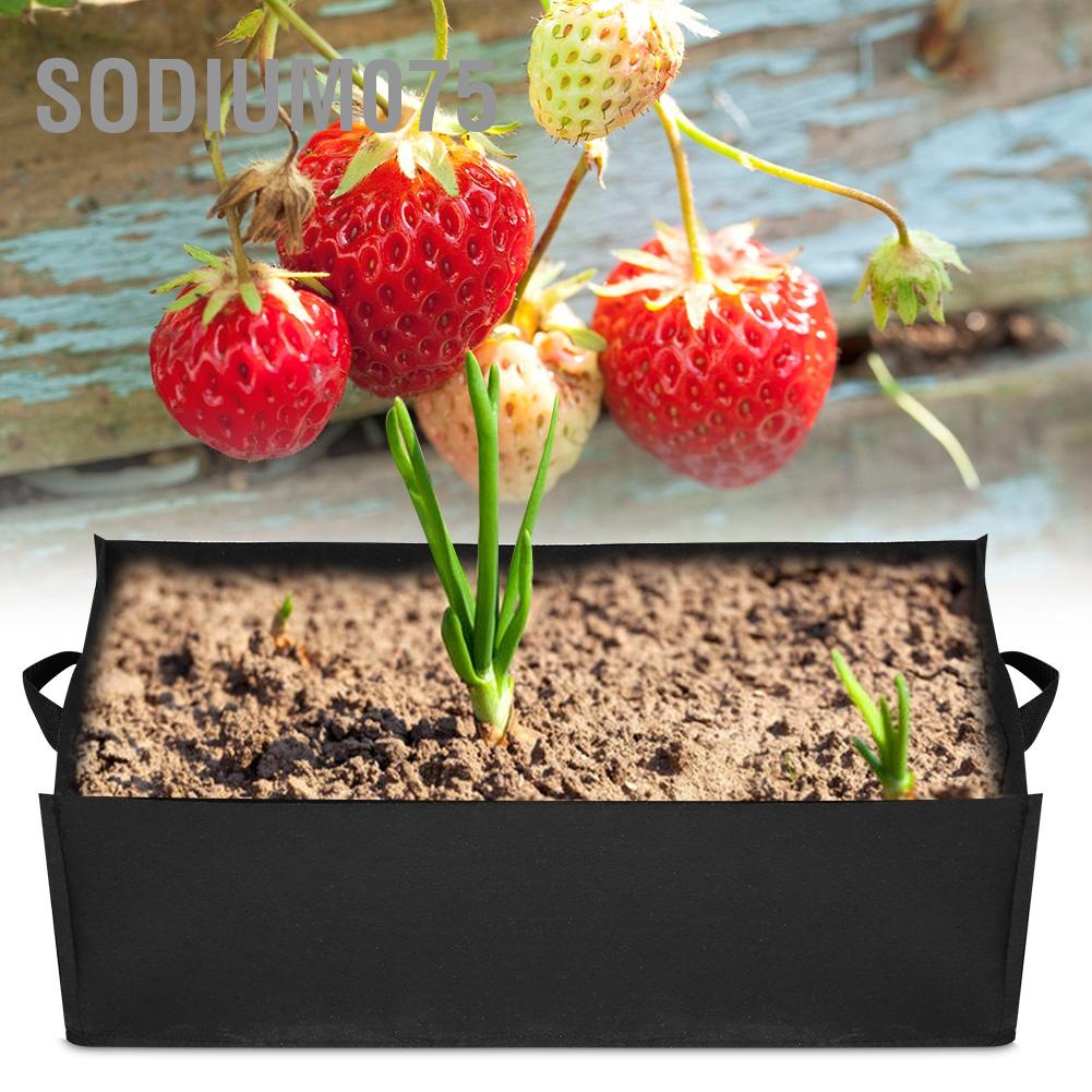 Sodium075 1Pc Vegetable Strawberry Planting Square Bag Garden Plant Flower Nursery Planter