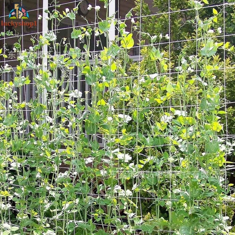 Lưới Trồng Cây Dây Leo Chất Lượng Cao