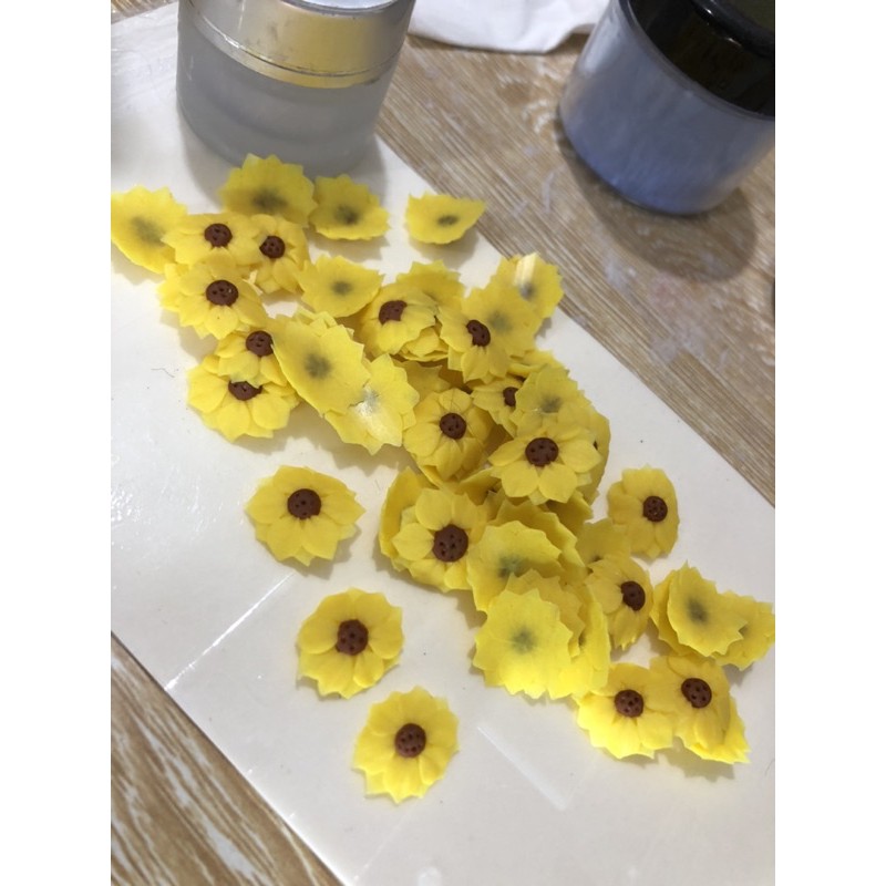 Hoa Móng Chân - Hướng Dương Nhuỵ Bi Nhiều Cánh