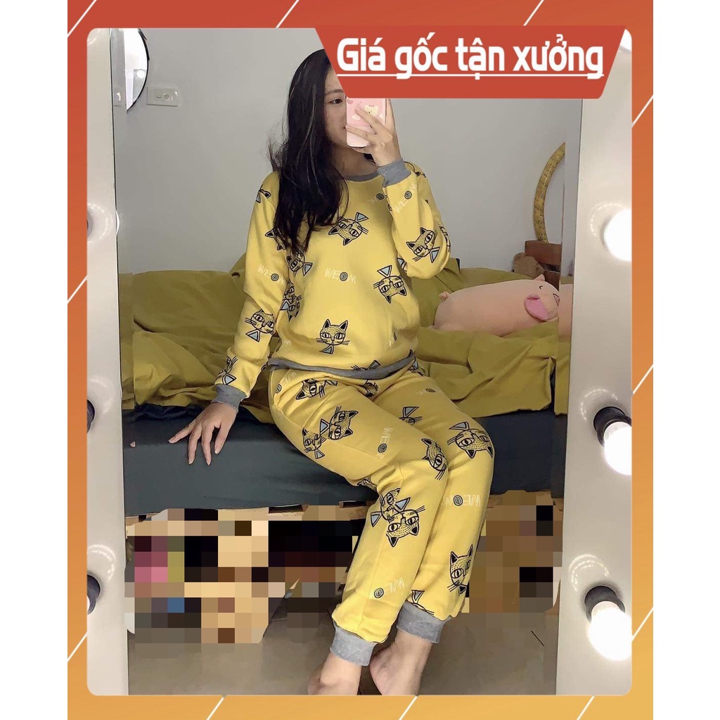 Bộ đồ ngủ cotton giữ ấm cao cấp mùa đông | BigBuy360 - bigbuy360.vn