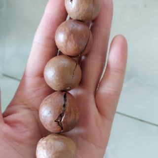 0.5kg Macca sấy tách nứt