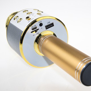 Micro karaoke bluetooth cao cấp WS-858